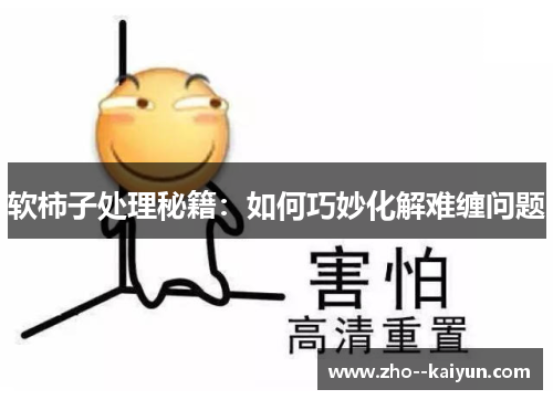 软柿子处理秘籍：如何巧妙化解难缠问题