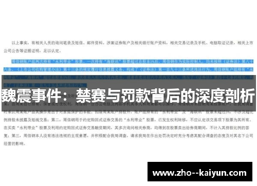 魏震事件：禁赛与罚款背后的深度剖析